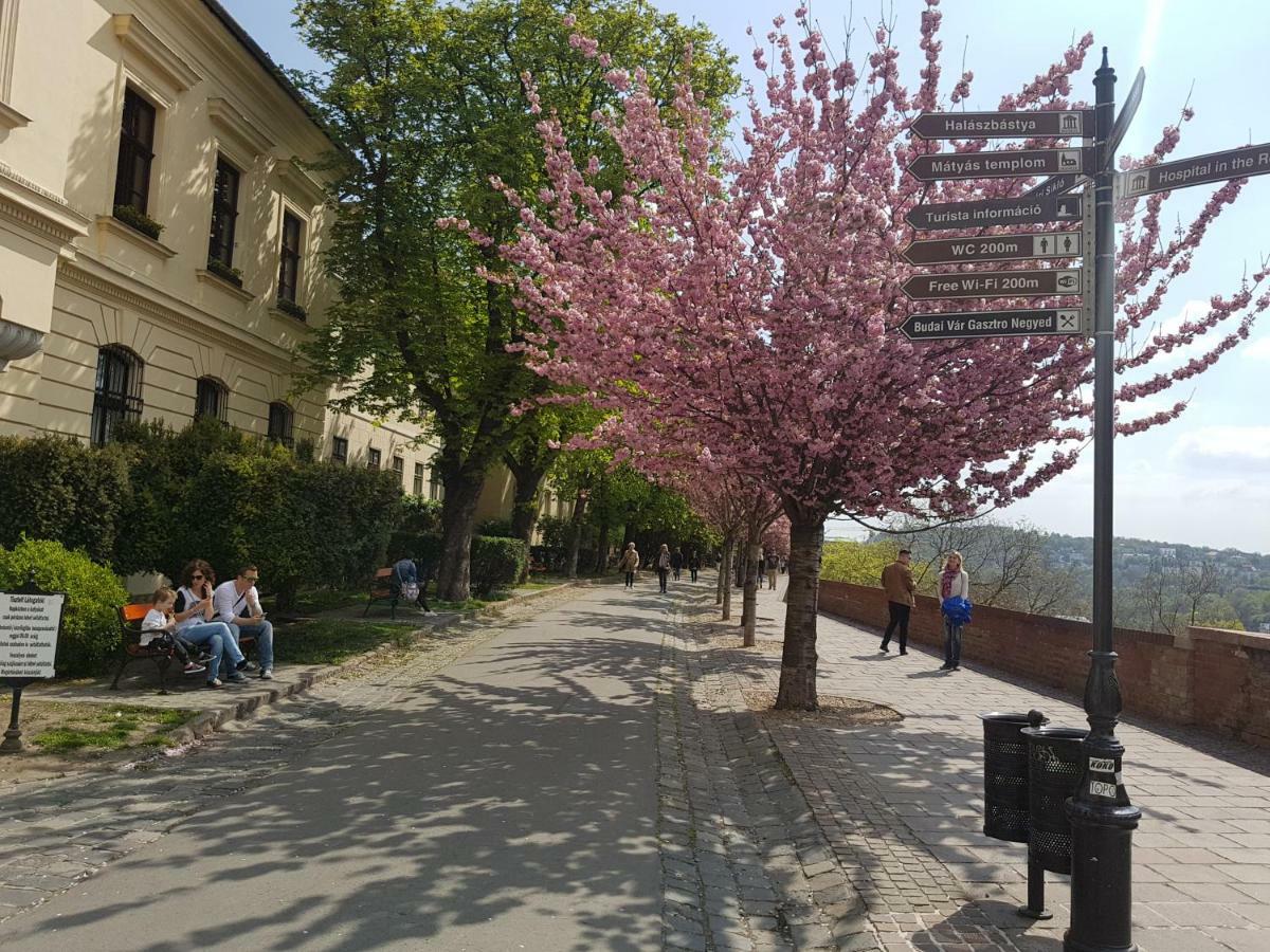 Budasmile Appartment At Buda Castle - Aircon & Free Parking Budapest Eksteriør bilde